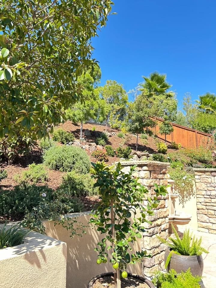 Landscape Installation for LEBEC, Inc in Brentwood, CA
