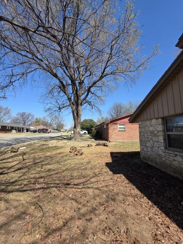 Tree Removal for Oklahoma Tree Guy in Bartlesville, OK
