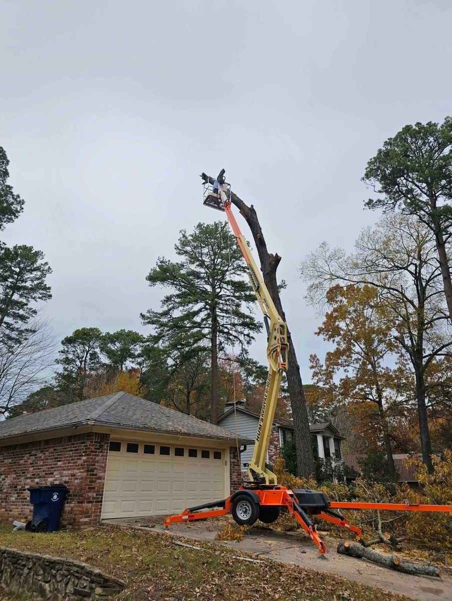 Tree Removal for ABW Property Professionals in Hope Mills, NC