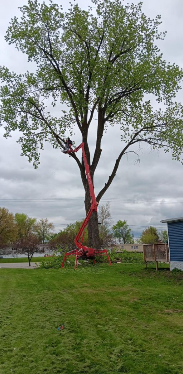 Tree Trimming for Lawn Ranger Yard And Tree Service LLC in Ottumwa, IA