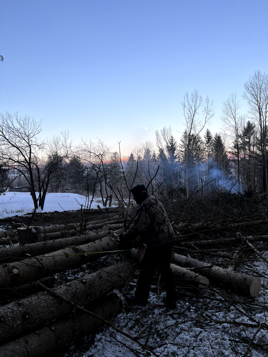 Dangerous Tree Removal for Andy Naylor Excavation in Stowe, VT