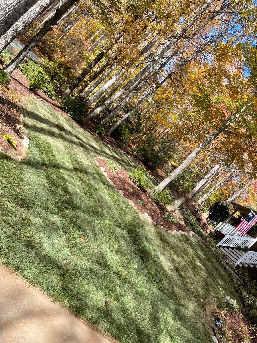 Sod/Seeding for Hipp's Land Management in Tryon, NC