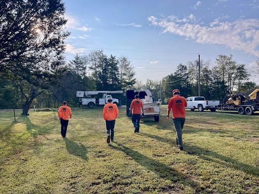 Tree Removal for Ross Family Tree Service LLC  in Hohenwald, TN