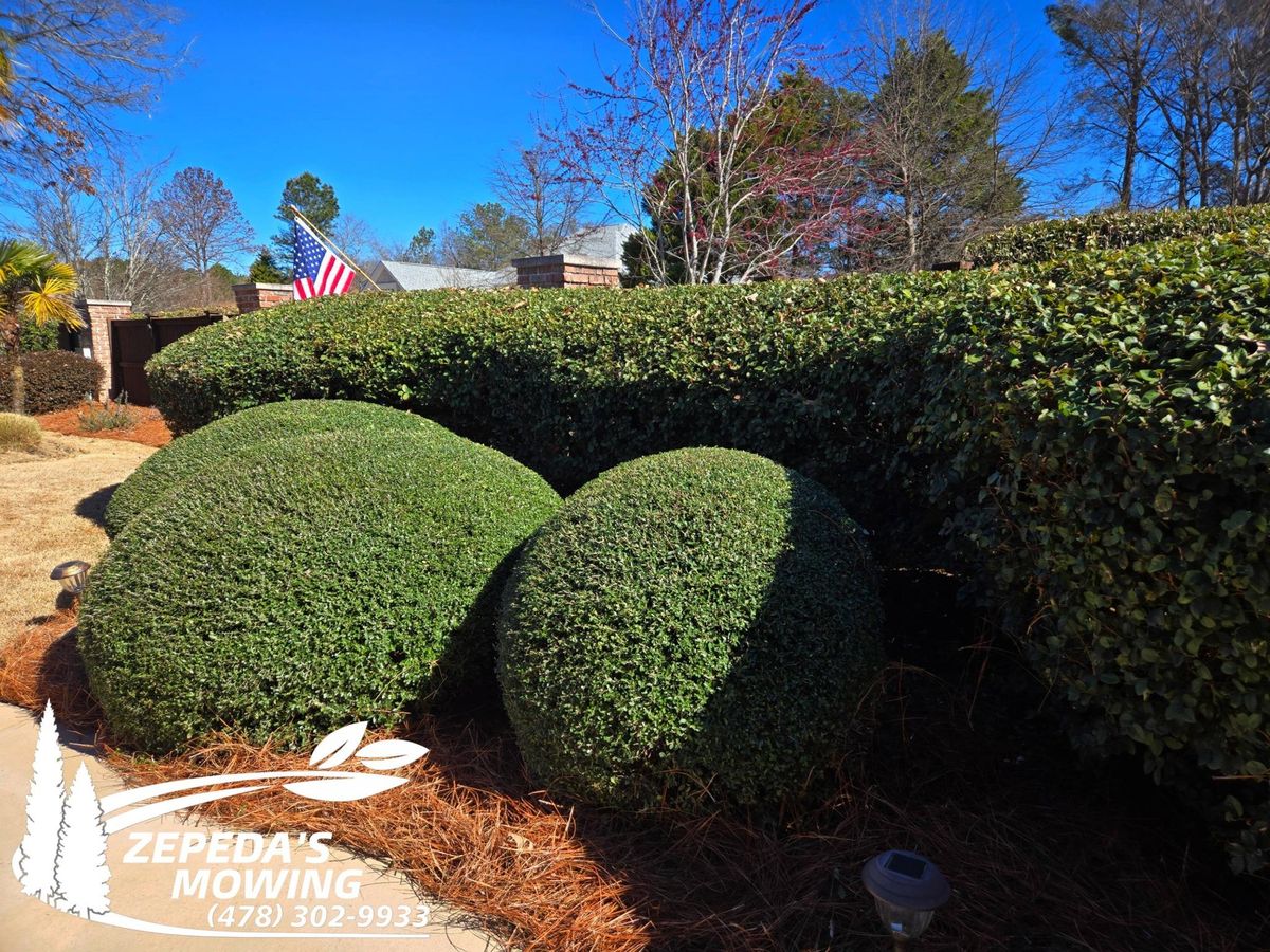 Landscape Installation for Zepeda's Mowing in Fort Valley, GA
