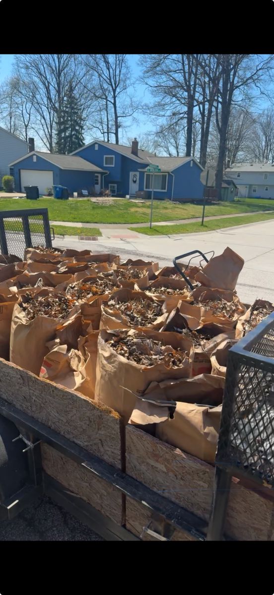 Spring/Fall Clean ups for Yard Theory L.L.C. in Willowick, OH