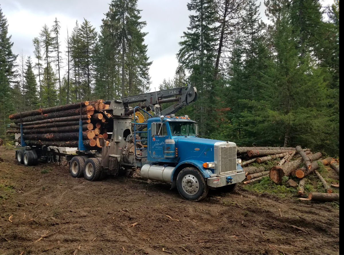 Small Scale Logging for King & Sons Urban Forestry in Coeur d'Alene, ID