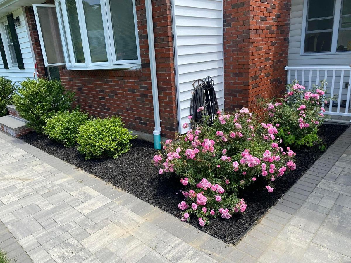 Shrub Trimming for GH Lawn Services in West Warwick, RI