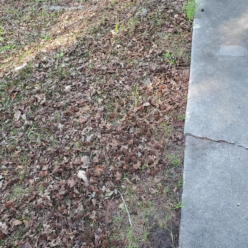 Fall Clean Up for Ready Set Go Lawncare Services in Savannah, GA