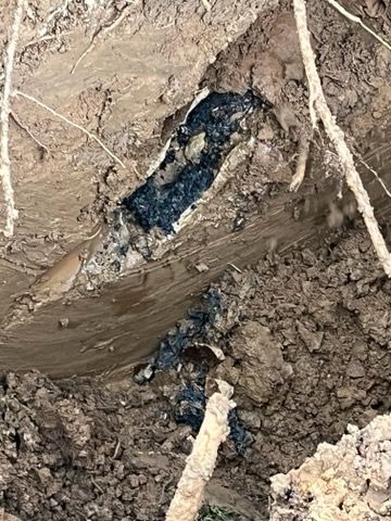 Sewer Camera and Locator Specialist for Avanzi Plumbing in Millington, TN