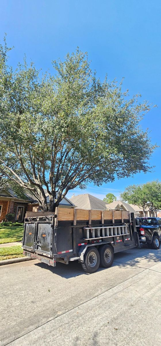 Fall Clean Up for Servin's Tree Care  in Houston, TX