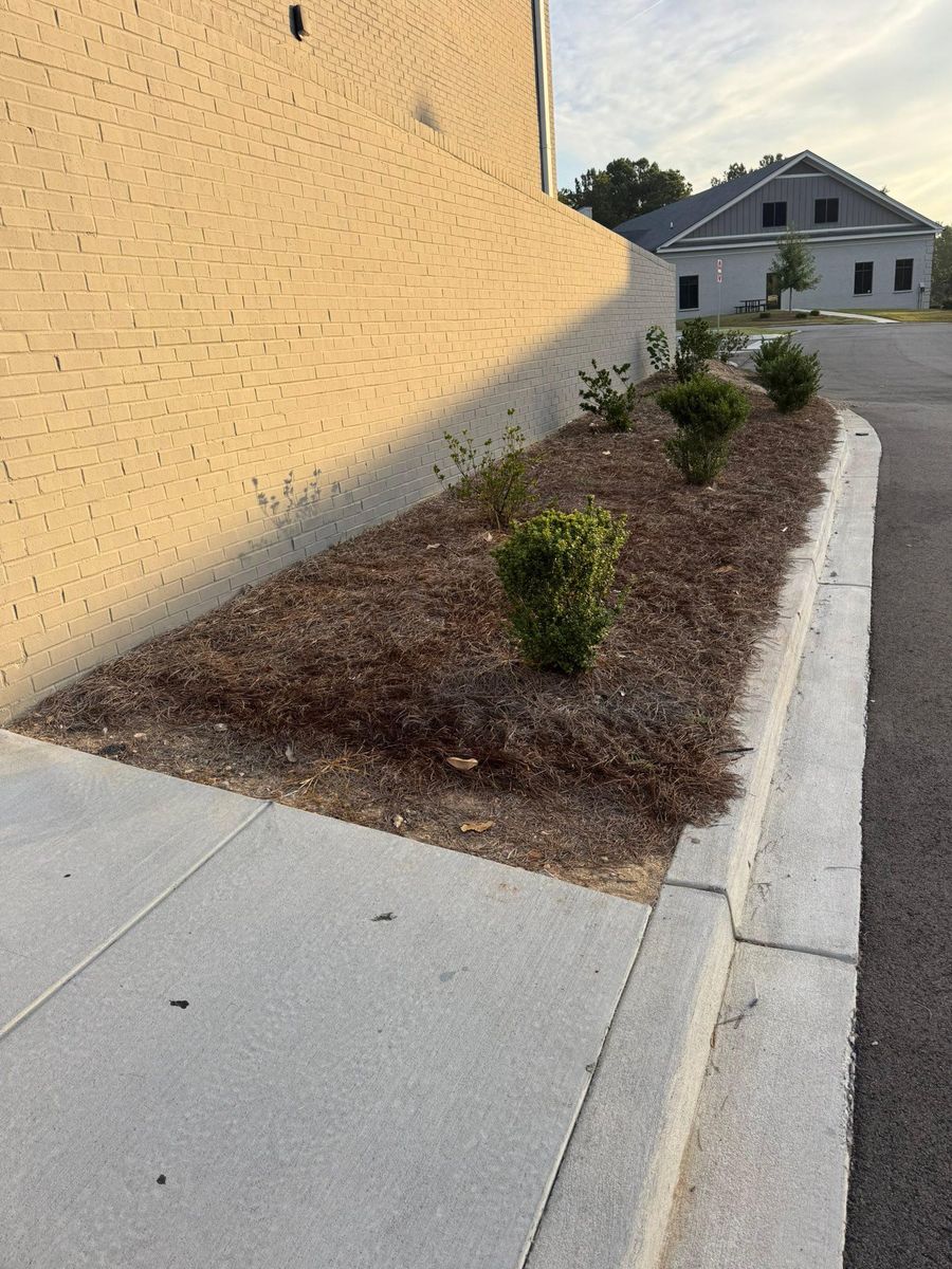 Landscape Installation for Trophy Outdoor Solutions in Lexington, SC