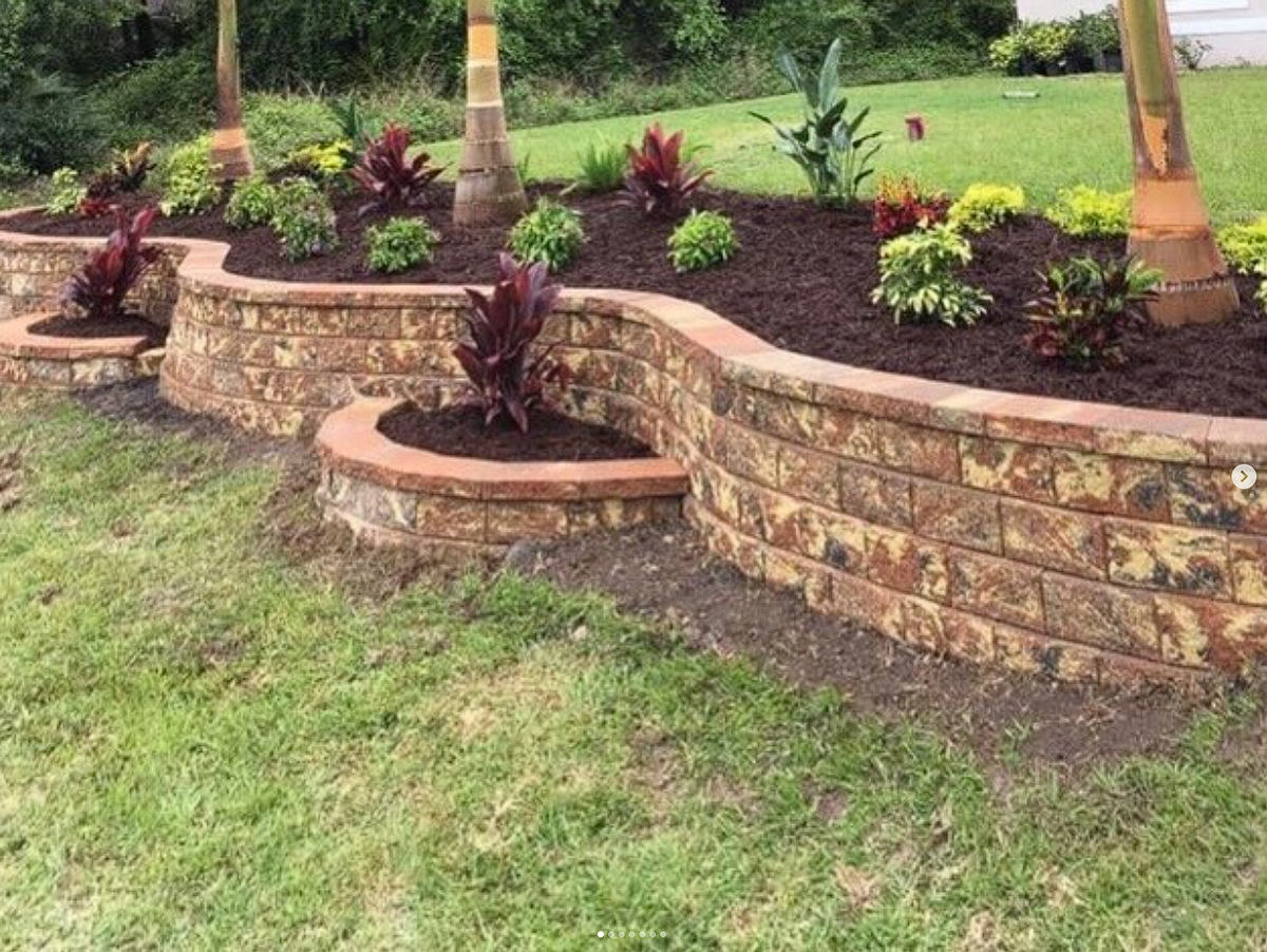 Palm and Trees for Plant World LLC in Cape Coral, FL