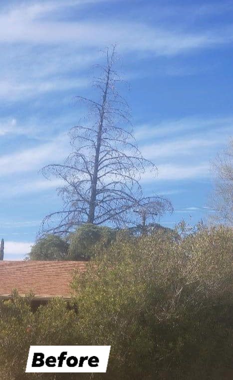 Commerical Landscaping for A to Z Grounds Keeping in Sierra Vista, AZ