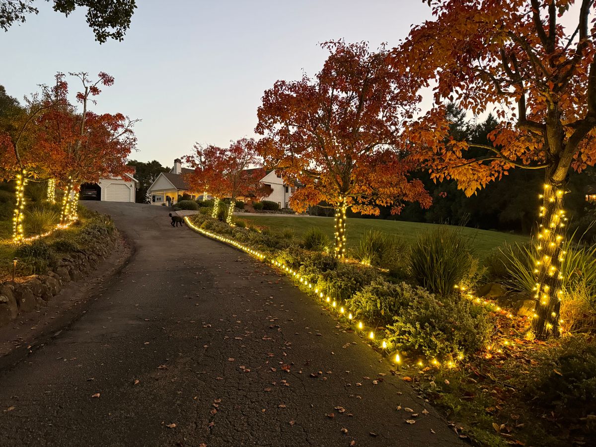 Permanent Lighting for GGG Home Services in San Jose, CA