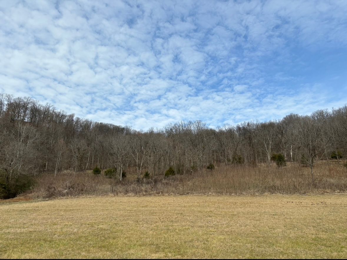 Land Clearing for Gregory Grass and Lawn in Lafayette, TN