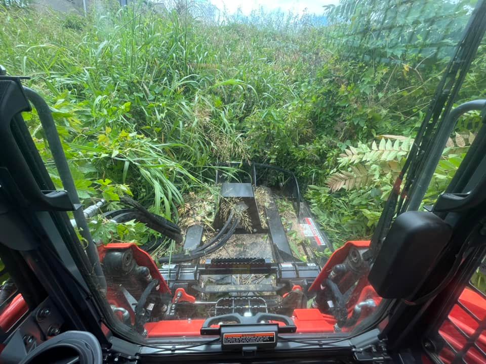 Land Clearing for Taylormade Land Service LLC in Hopkins County, KY