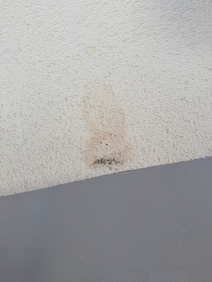 Painting Services in Dallas–Fort Worth for Propertifix Handyman & Renovation Services in Lancaster, TX