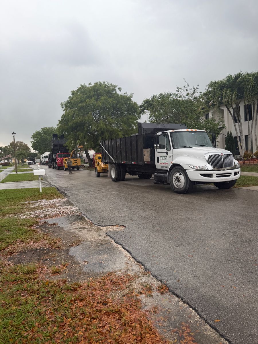 Residential Demolition for Regional Land Construction in Miami, FL