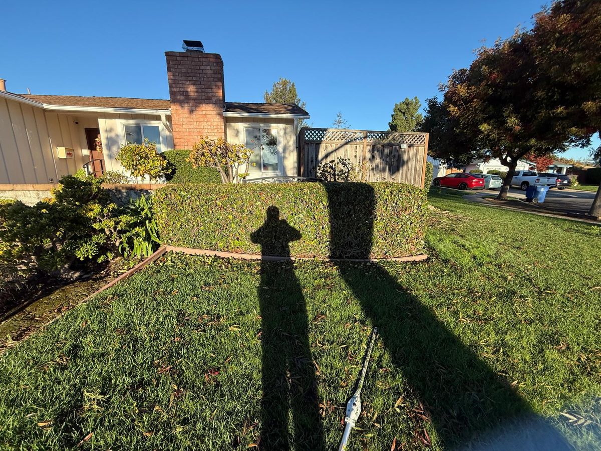 Landscaping for CBA Landscaping in Hayward, CA