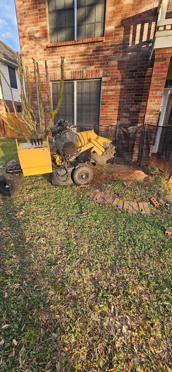 Tree Removal for Servin's Tree Care  in Houston, TX