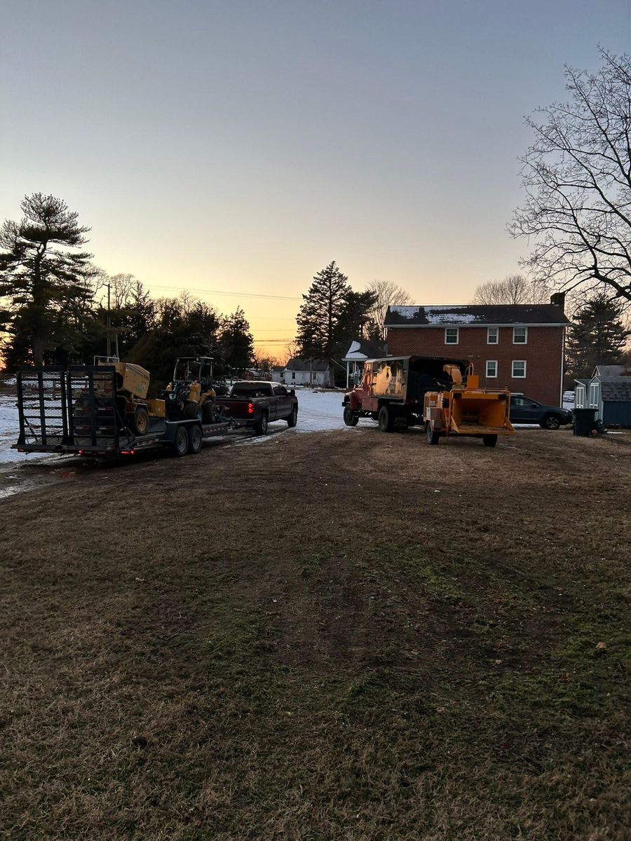 Tree Trimming for Hingewood Tree Service in Salem, NJ