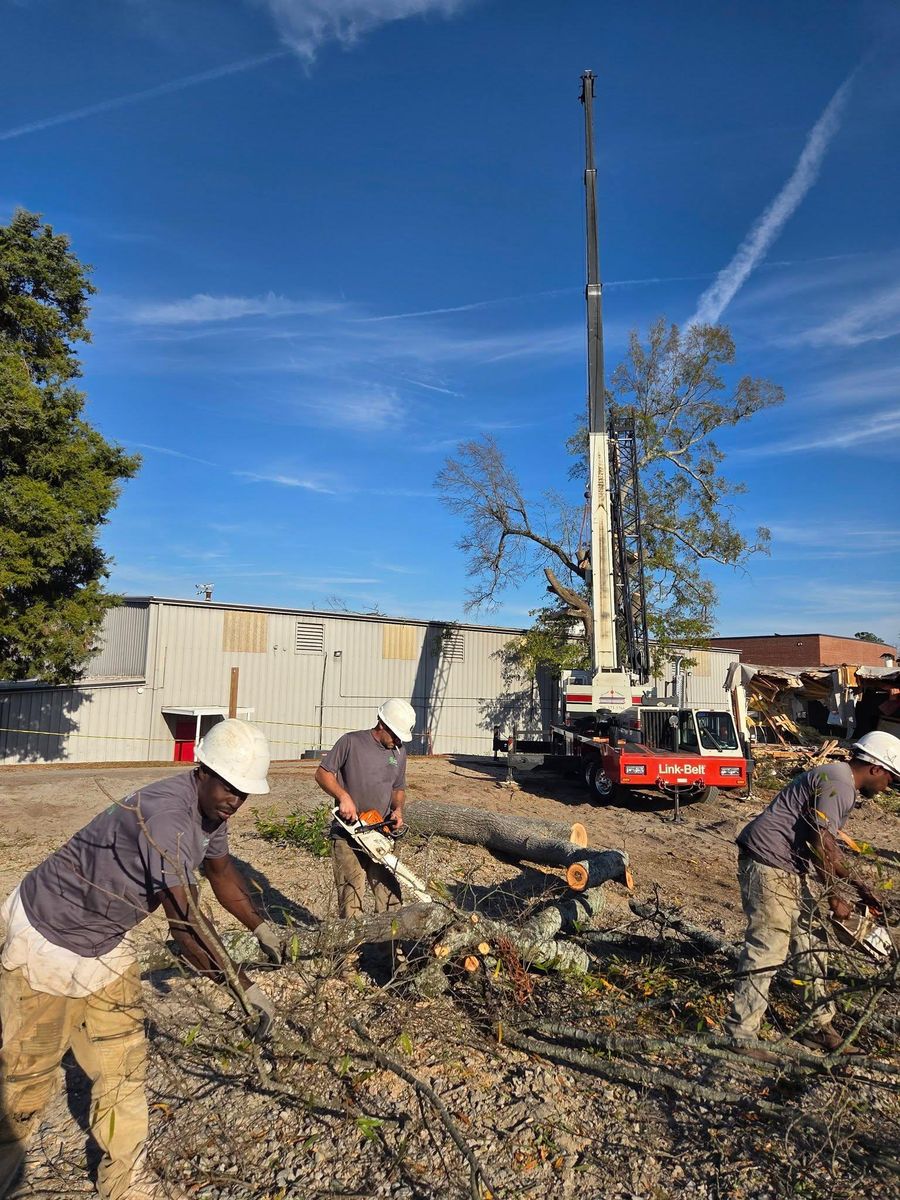 Tree Removal for Trees Unlimited of the CSRA in Augusta, GA