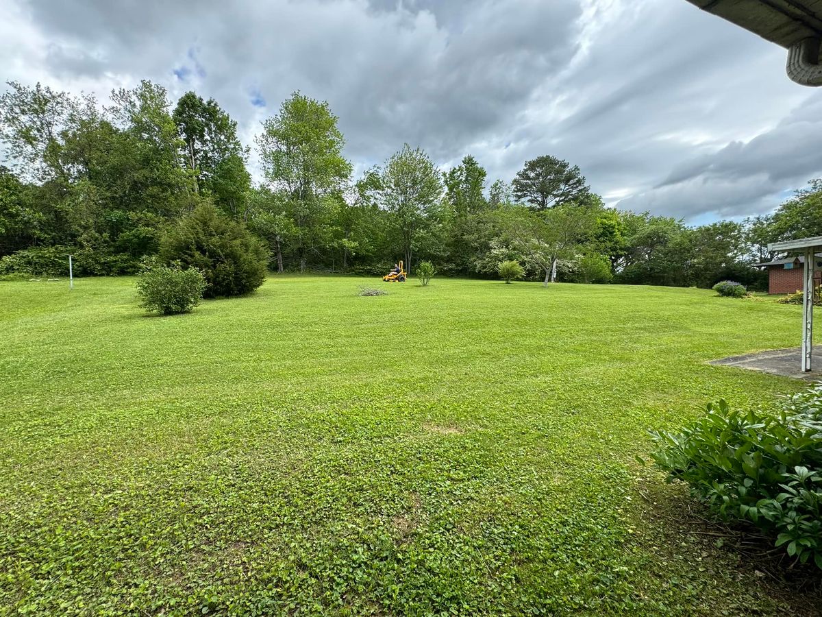 Lawn Maintenance for Hale’s Hydroseeding in London, KY