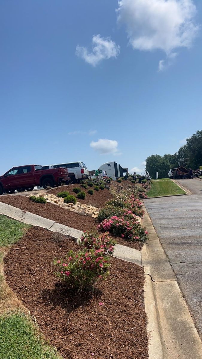 Landscaping for Cook's Lawn & Landscaping in Taylorsville, NC