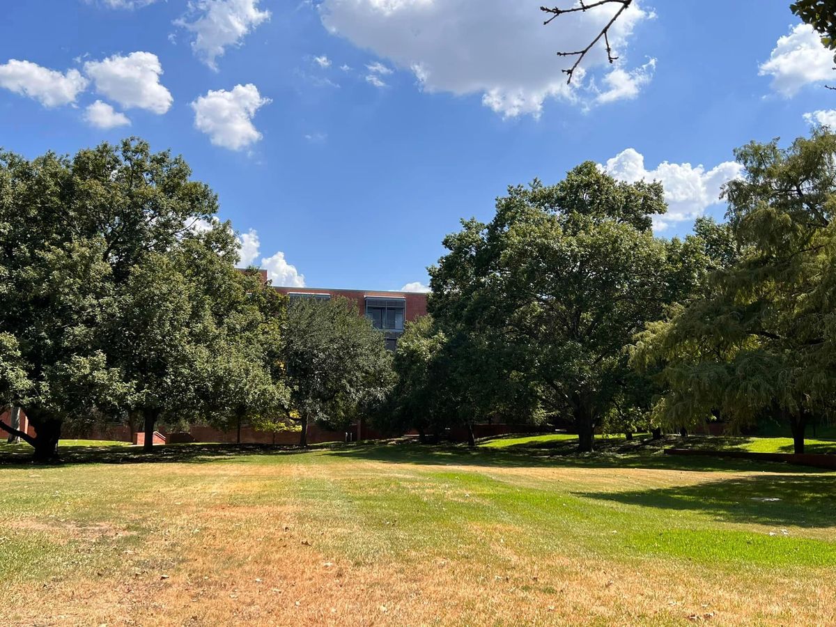 Tree Trimming for 210 Tree Care in San Antonio, TX