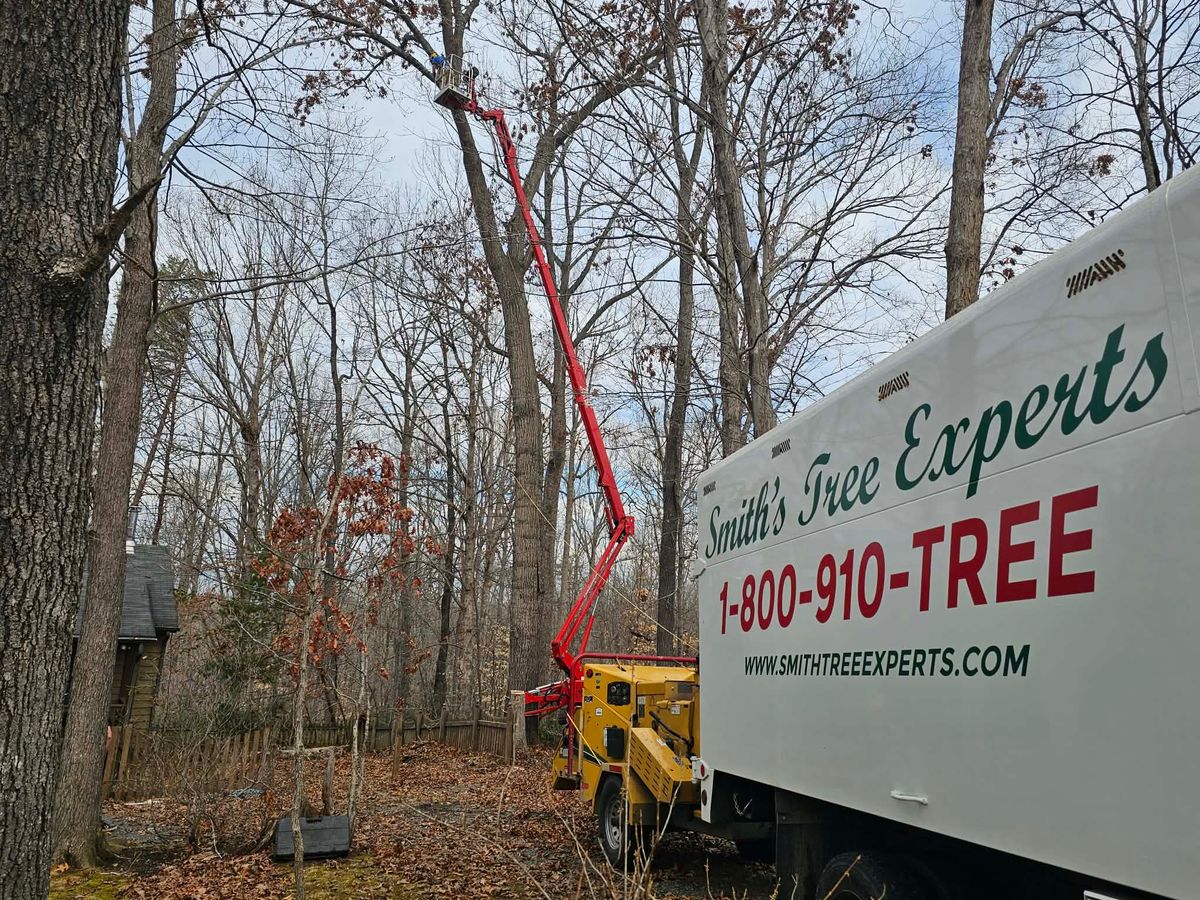 Tree Trimming for Smith Tree Experts in Palmyra, VA