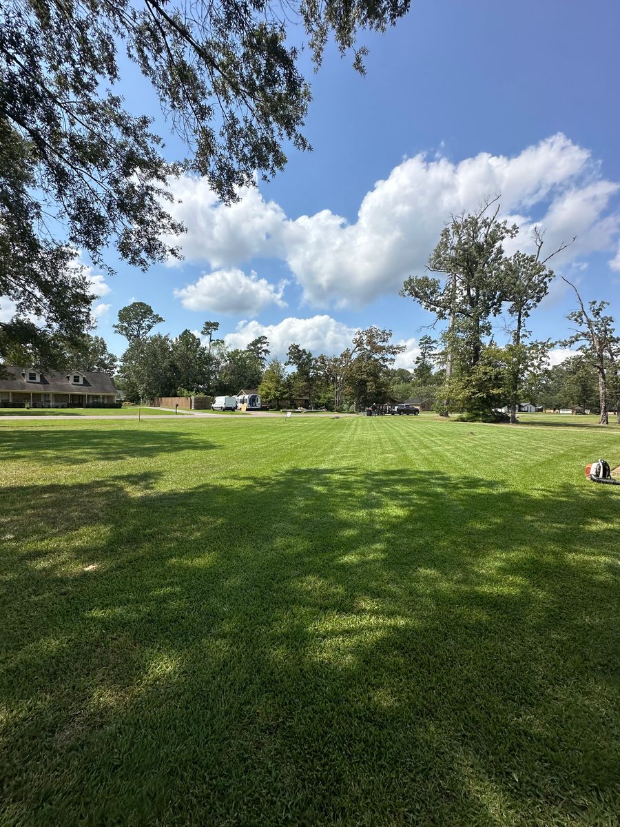 Garden for C&R Landscaping LLC in Beaumont, TX