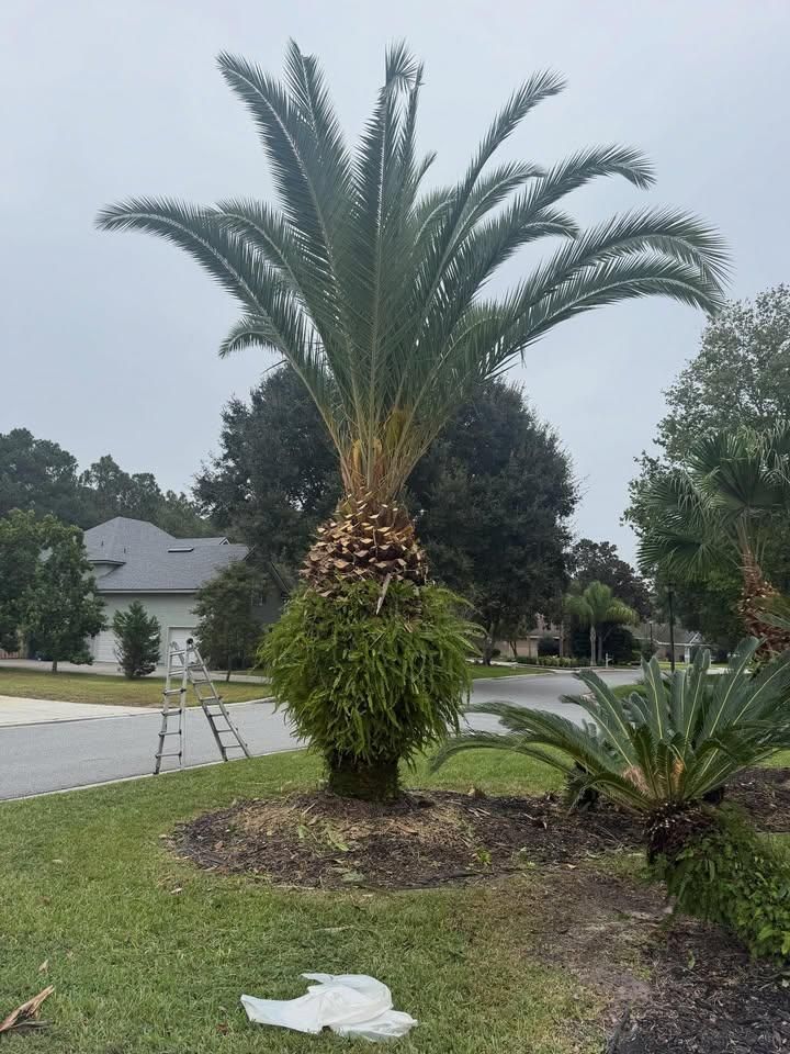 Shrub Trimming for Whole 9 Yards Services in Green Cove Springs, FL