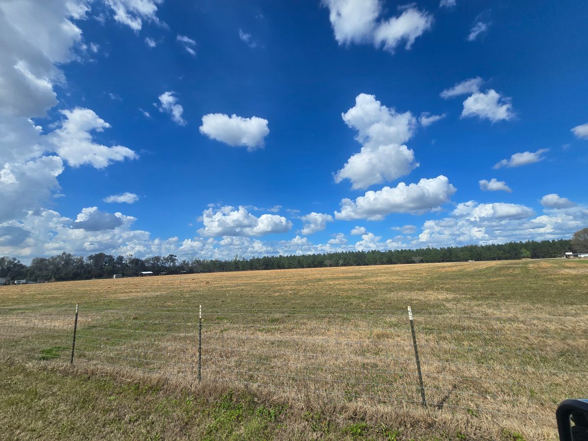 Land Clearing for Giles Land Management, LLC in Hahira, GA