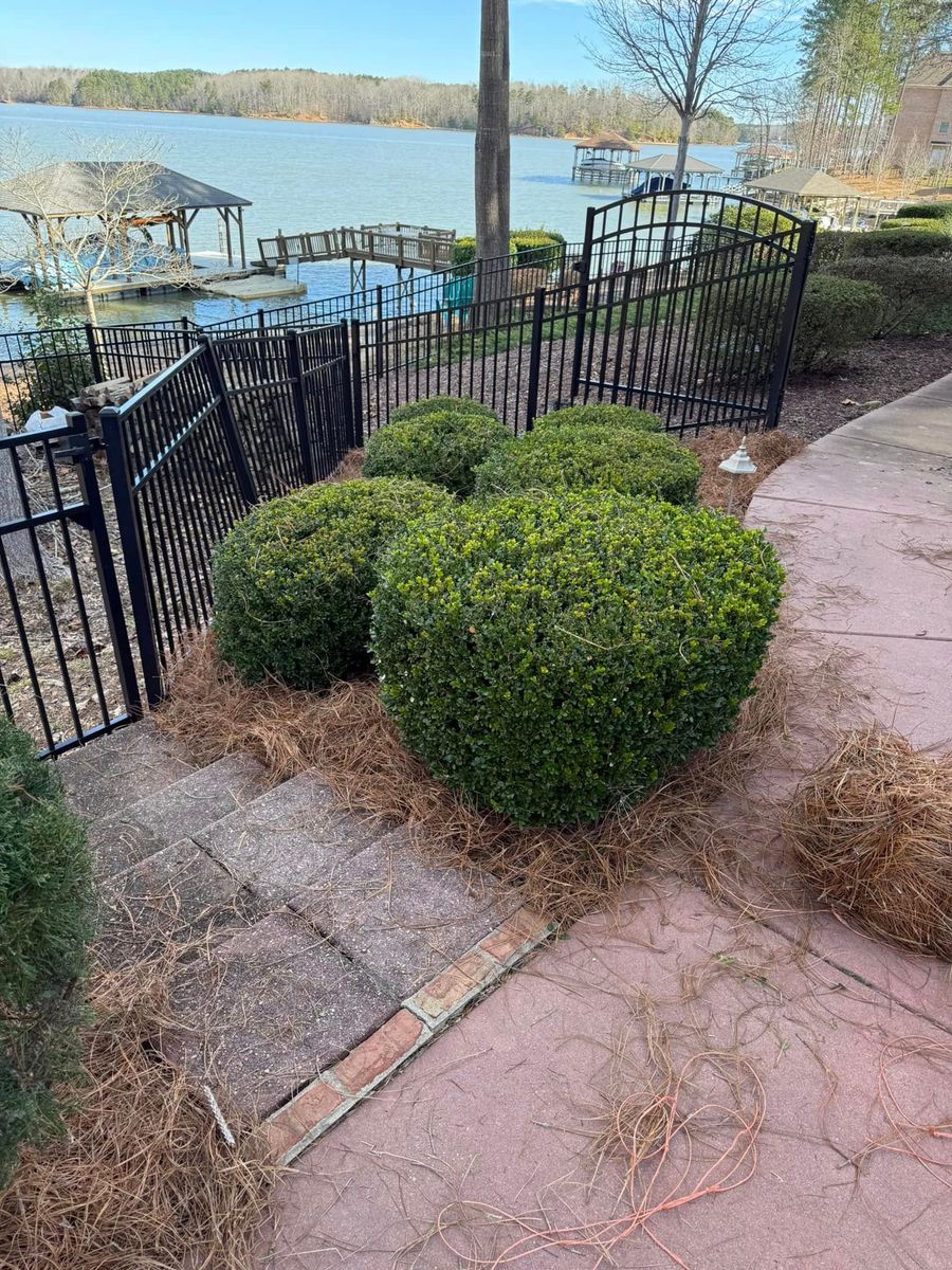 Shrub Trimming for Stars & Stripes Landscaping in Catawba, NC