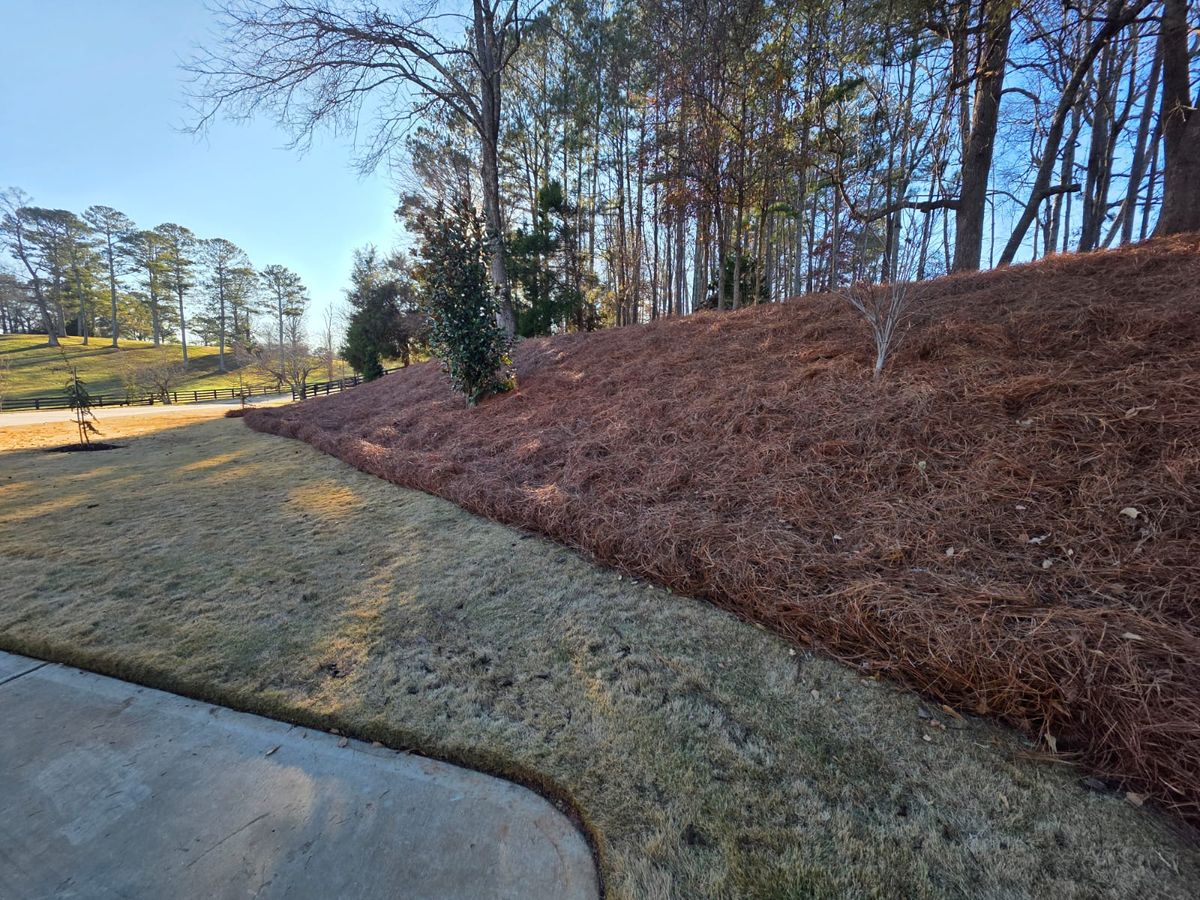 Landscaping for GA Bear Dumpster Rental in Cumming, GA