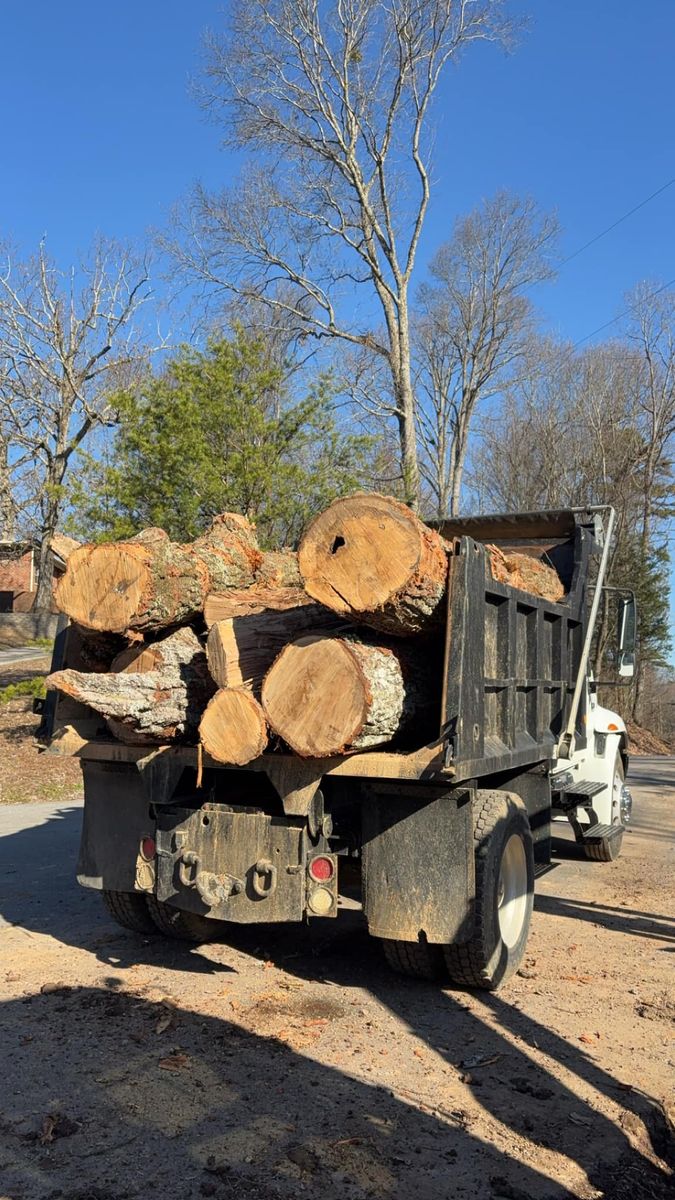 Residential & Commercial Excavation for Phillips Construction and Excavating LLC in Knoxville, TN