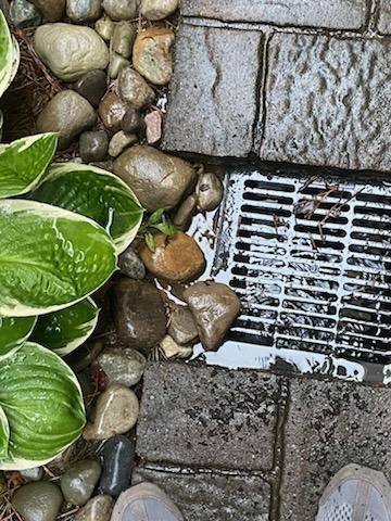 Drainage System Repairs & Maintenance for Drain My lawn in Charlotte, NC