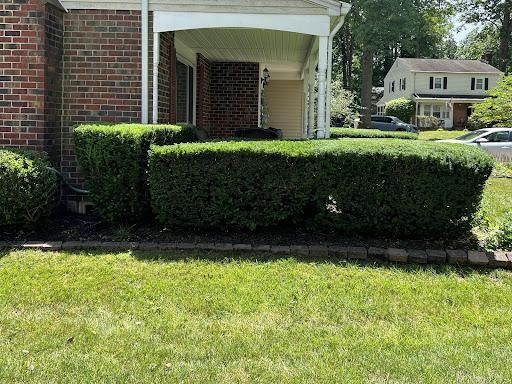 Shrub Trimming for A Better Lawn Service LLC in Bel Air, MD