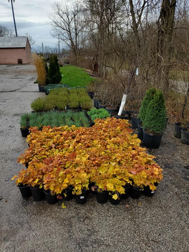 Mulch Installation for Contemporary Landscape in St. Louis, MO