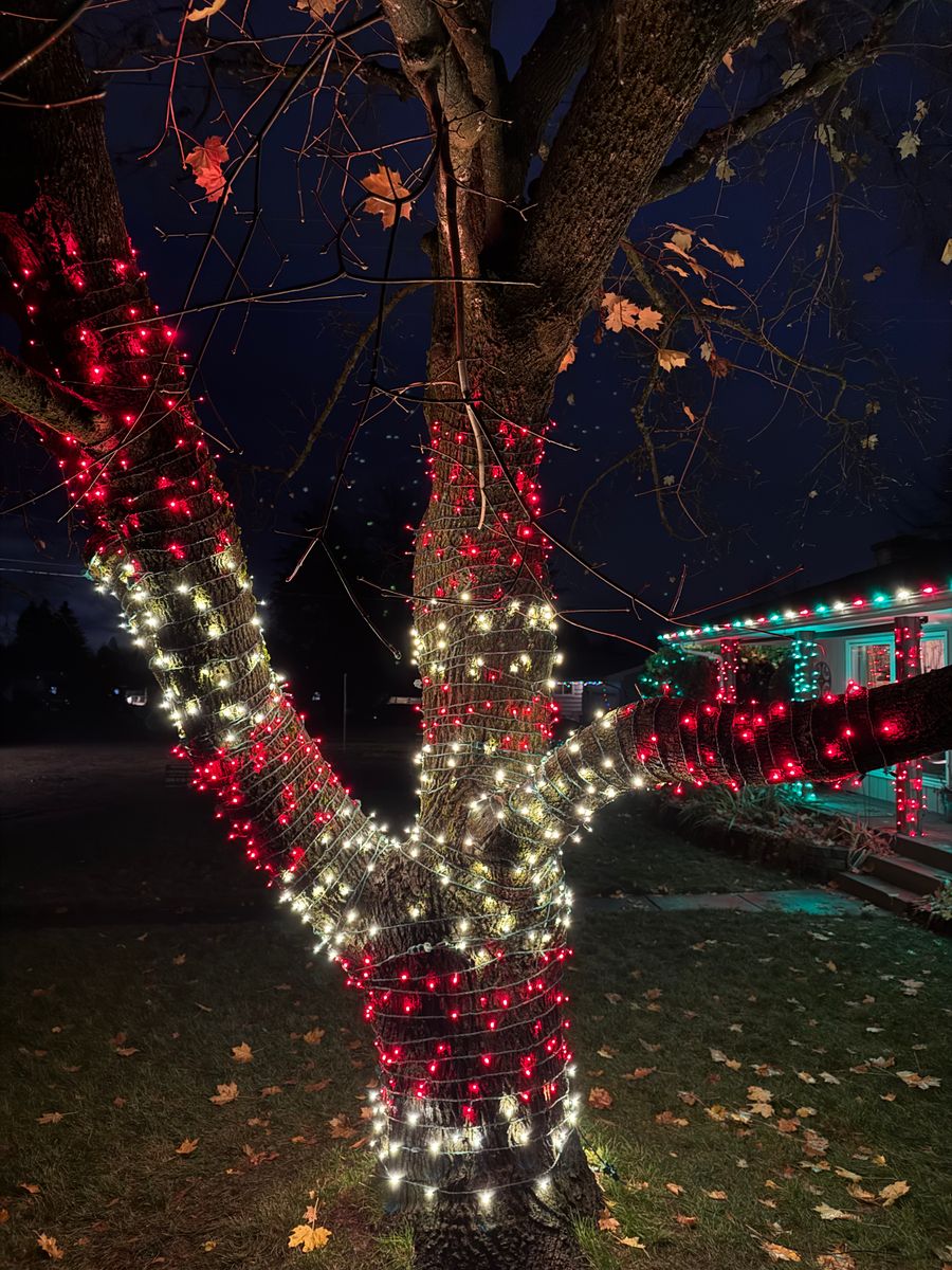 Christmas Lights for Swift Serve in Coeur d'Alene, ID