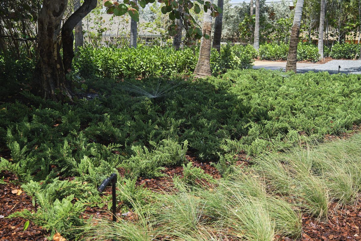 Irrigation for Arazoza Brothers Corporation in Miami, FL