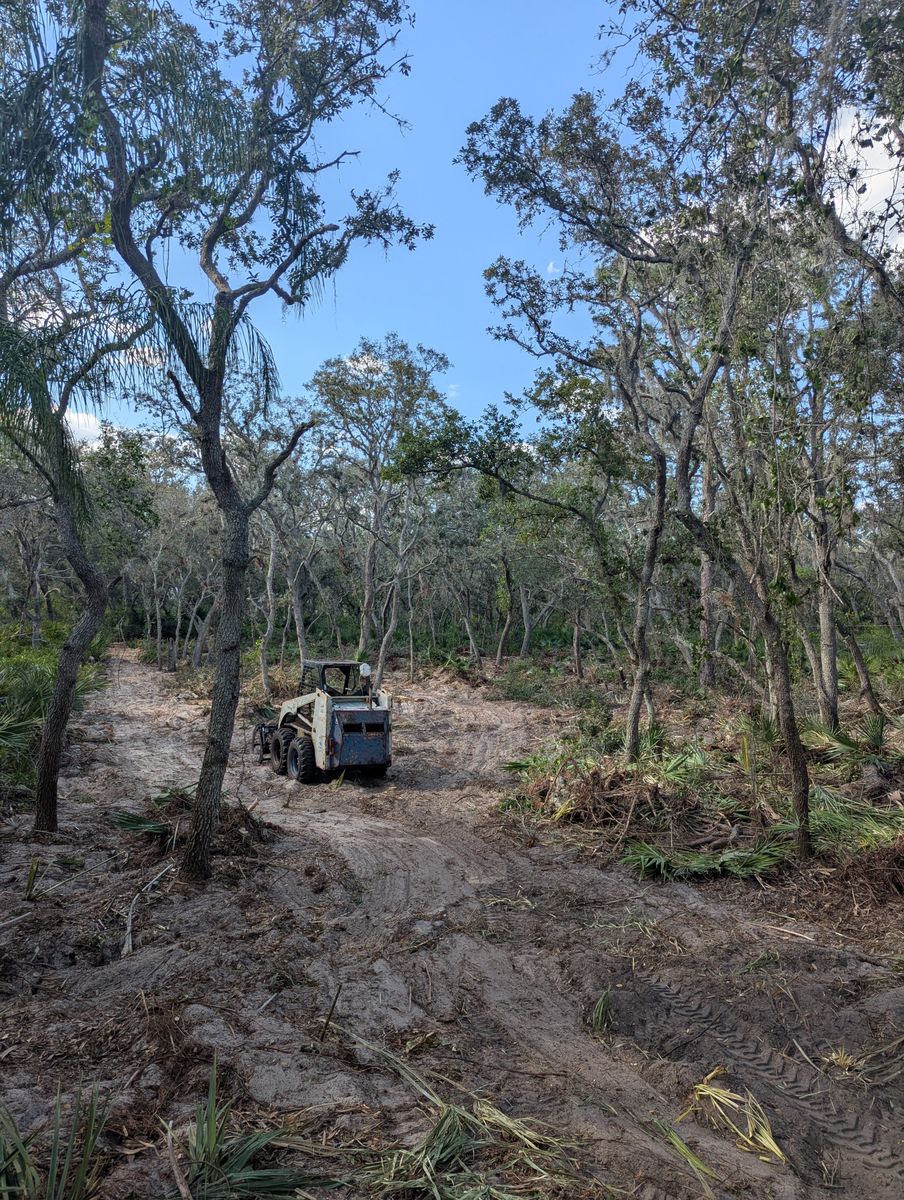 Land Clearing for Regal Tree Service and Stump Grinding in Wauchula, FL