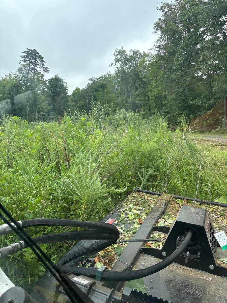 Land Clearing for Mountainside Property Services LLC in Warrenton, VA