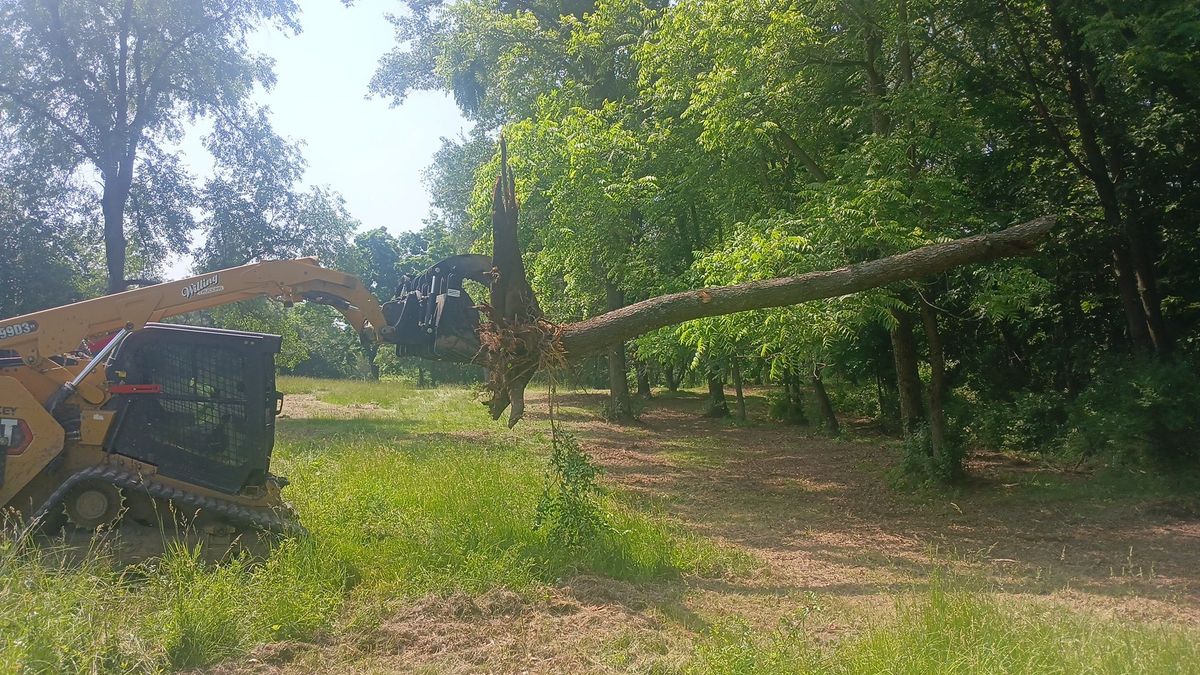 Landscaping for Willing Trucking & Excavating in Evansville, WI