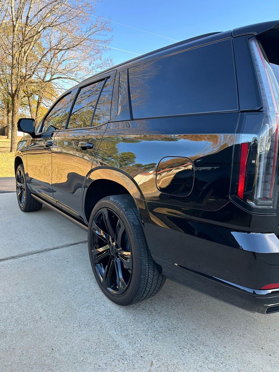 Exterior Detailing for Hollywood Detail in Northport , AL