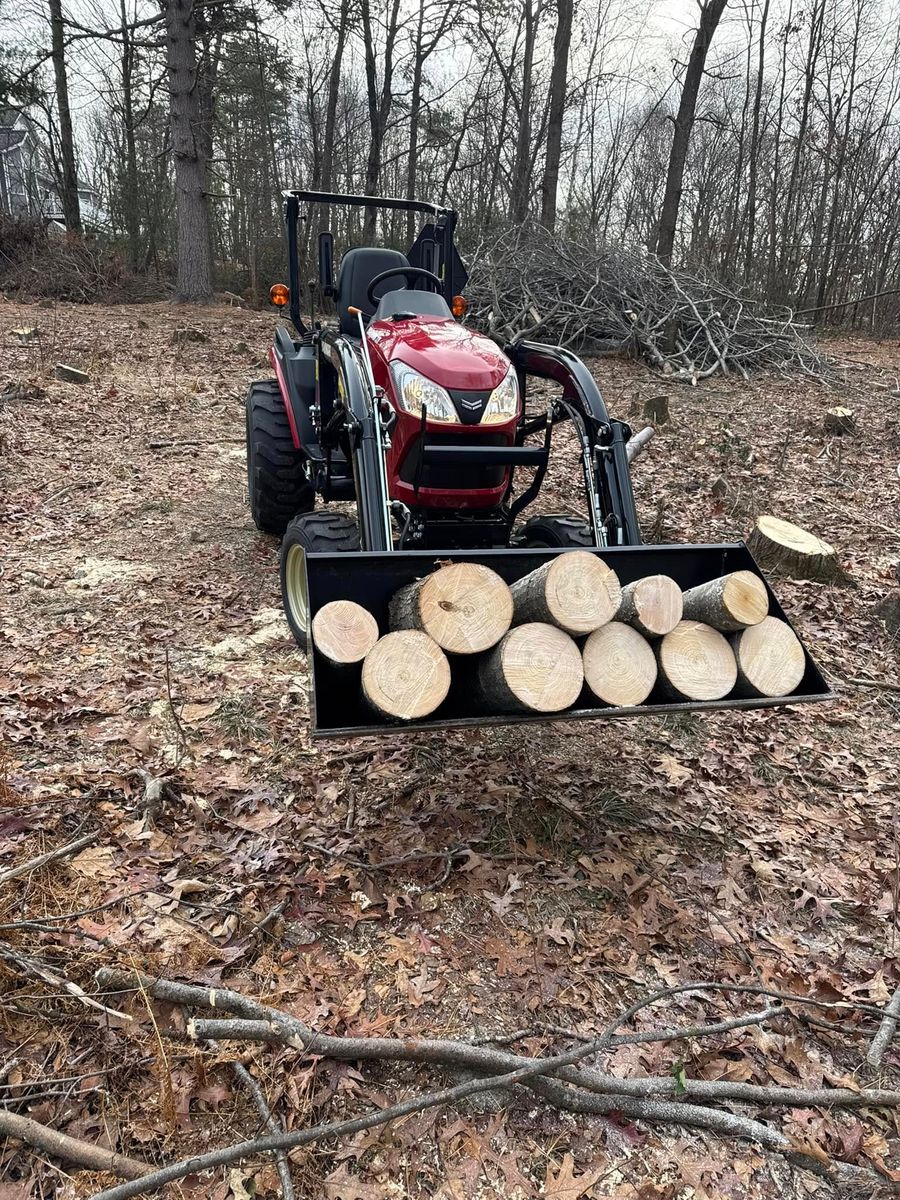 Stump Removal for Jills Stump Grinding and Firewood in Shelton, CT