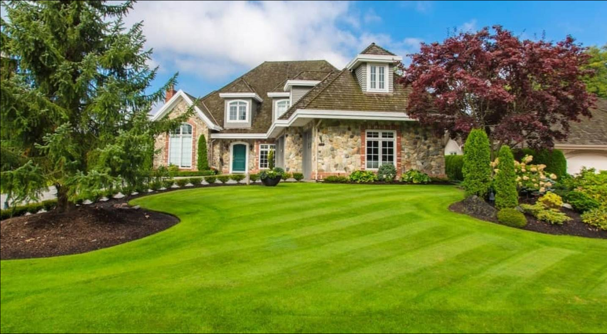 Fall Clean Up for Perfect Cut Lawn & Tree Care in Citrus Springs, FL