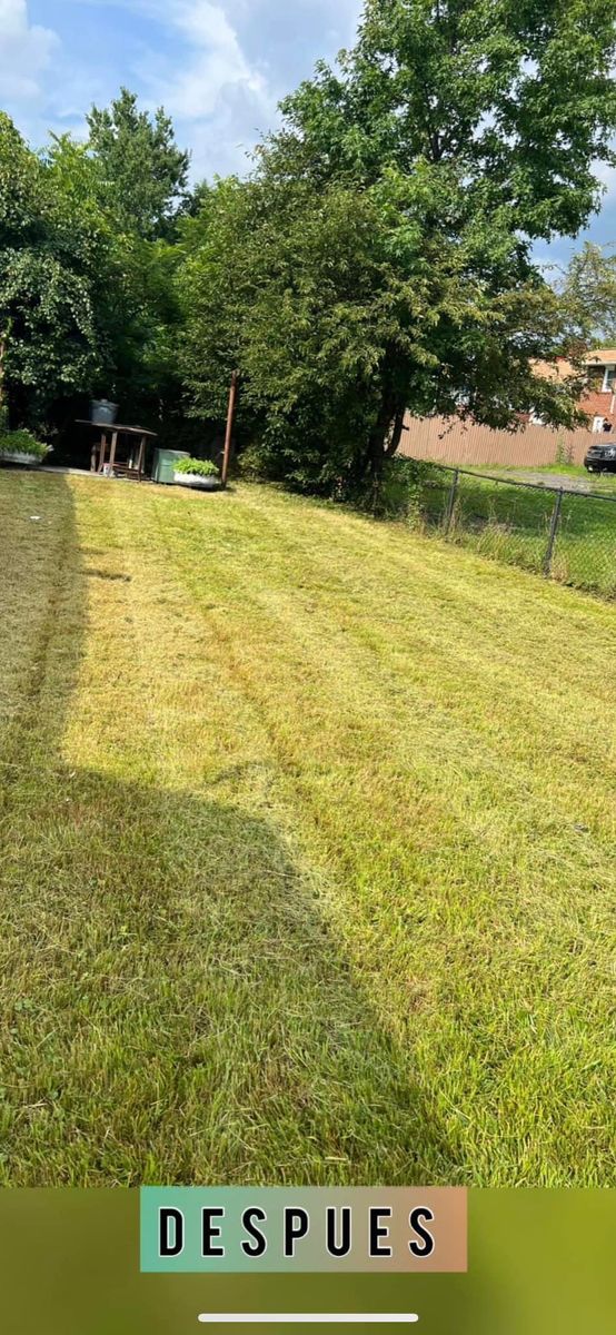 Mowing for Family Landscaping & Irrigation in Auburn, WA