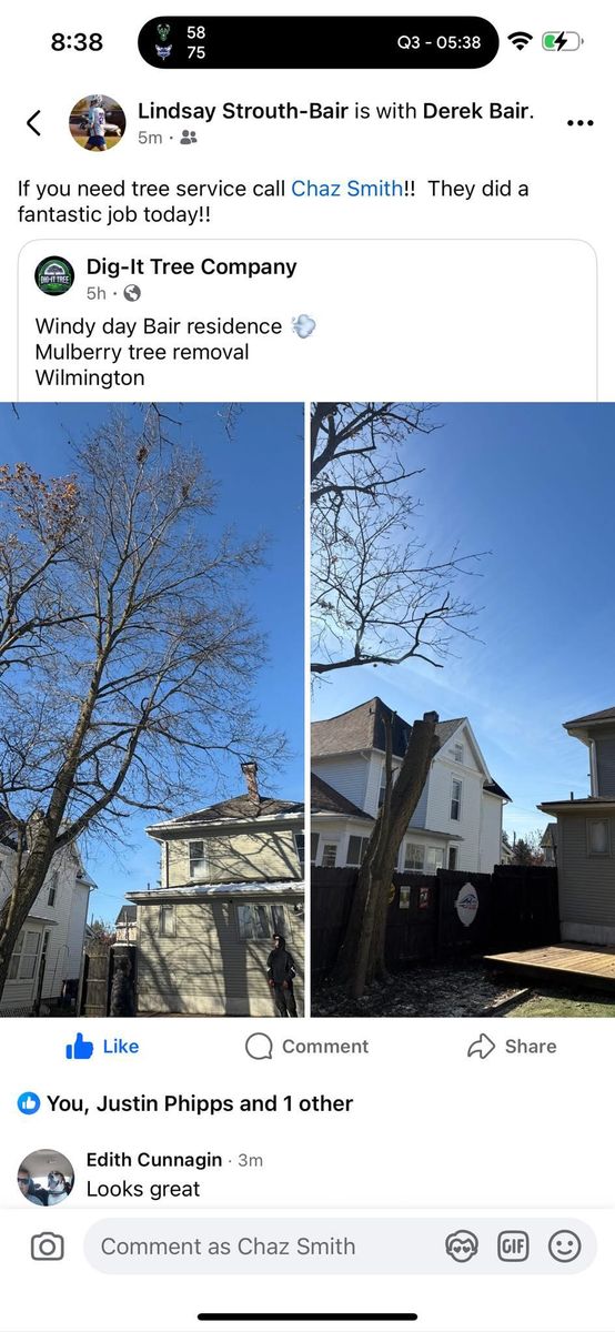 Fall Clean Up for Dig-It Tree Company in Mason, OH