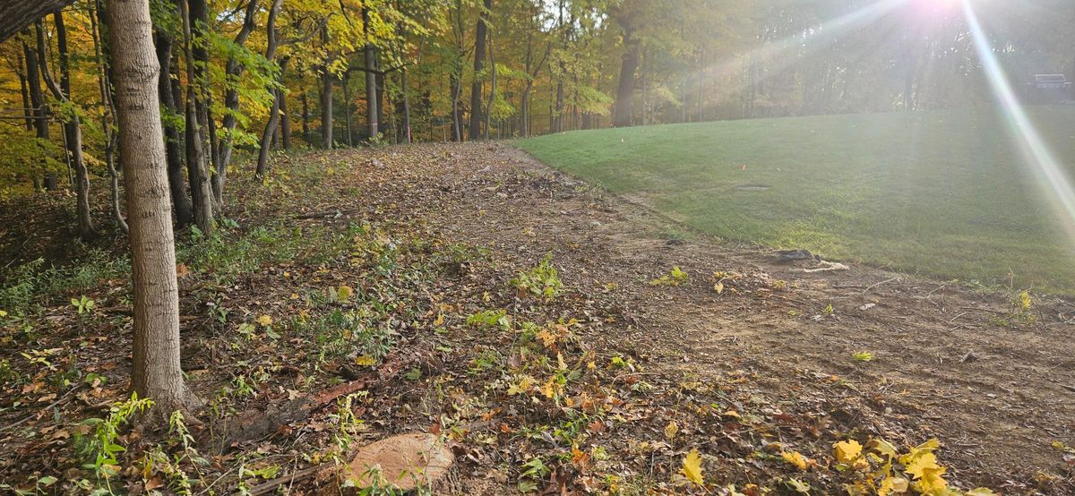 Tree Removal for Highborn Tree Service in Wheatfield, IN